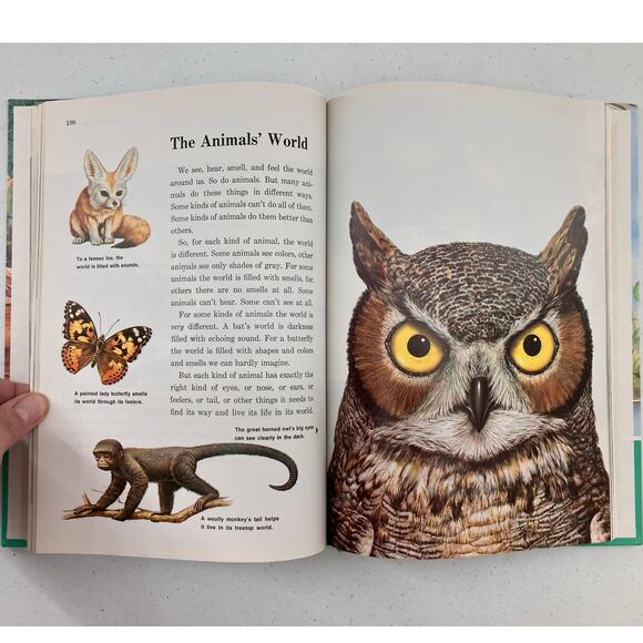 Vintage 1988 Childcraft How And Why Library About Animals Childrens Encyclopedia - Picture 10 of 13